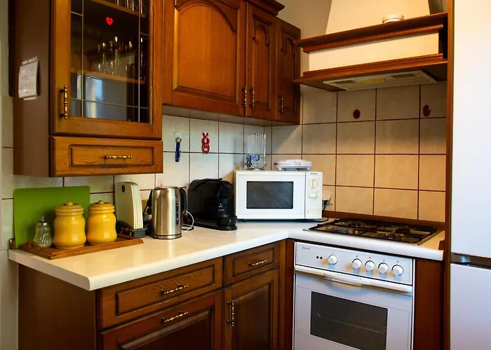 Vila Willa Reset Międzybrodzie Bialskie